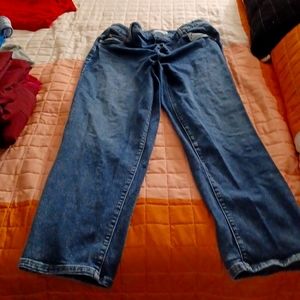Lane Bryant jeans